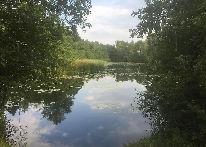 U Edzia Lodge Kopalino